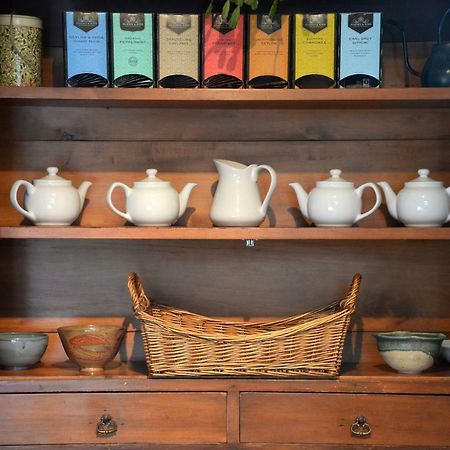 The Springwater Bed And Breakfast Saratoga Springs Exteriér fotografie