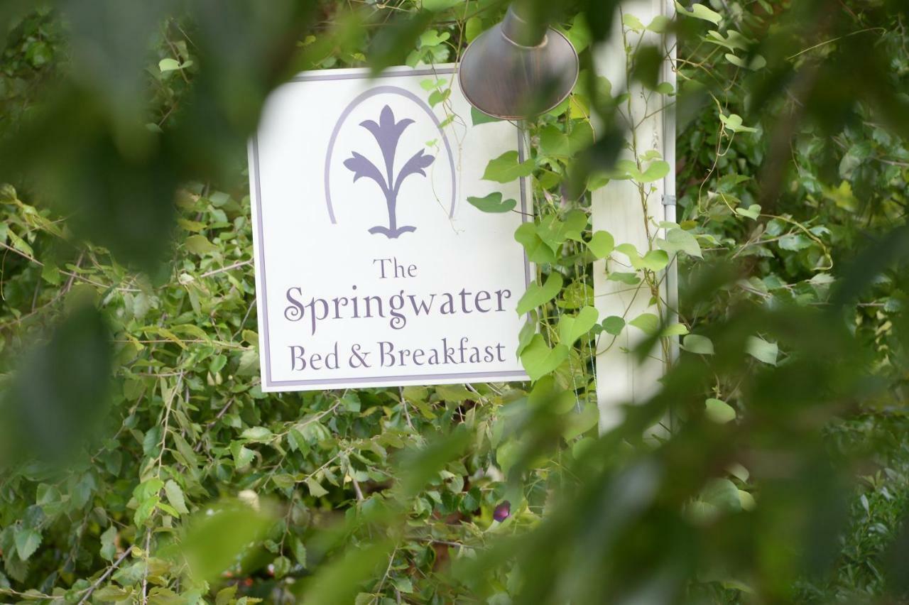 The Springwater Bed And Breakfast Saratoga Springs Exteriér fotografie