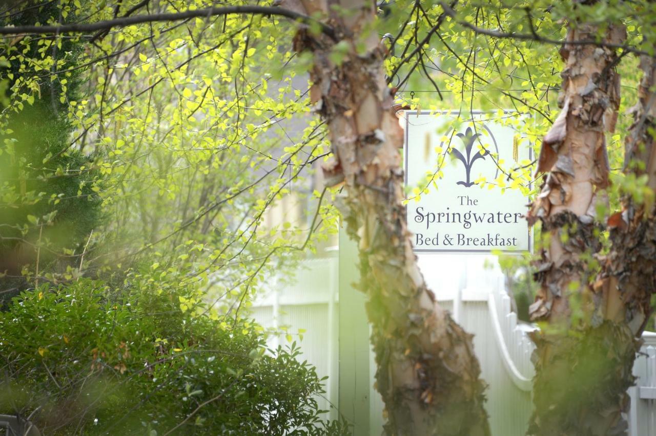 The Springwater Bed And Breakfast Saratoga Springs Exteriér fotografie
